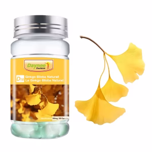 Daynee Ginkgo Biloba Natural Leaves