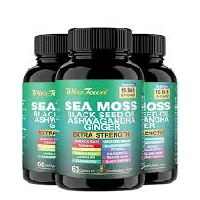Daynee Sea moss Ashwagandha, black seed oil, ginger and extra strength